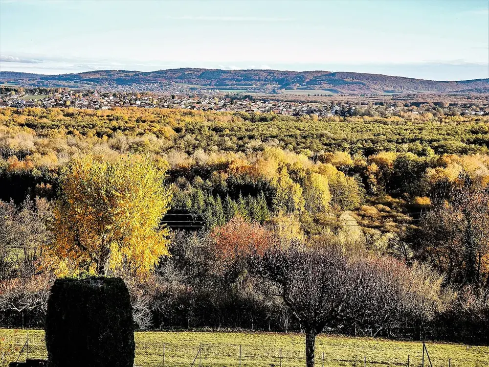 Forêt du marais de Saône et village , vus de Montfaucon