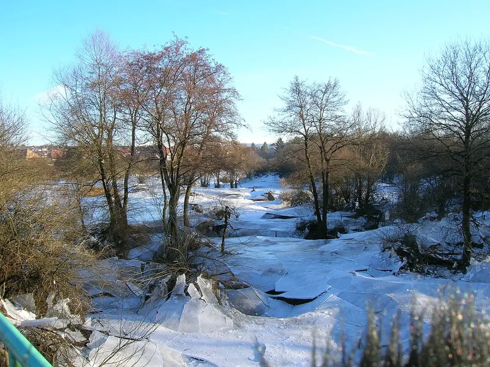 Marais de saône geler