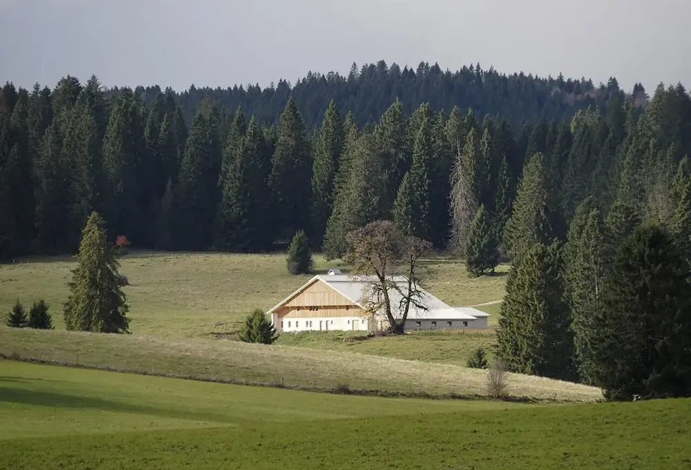 Le Gros Vitiau (Les Fourgs)