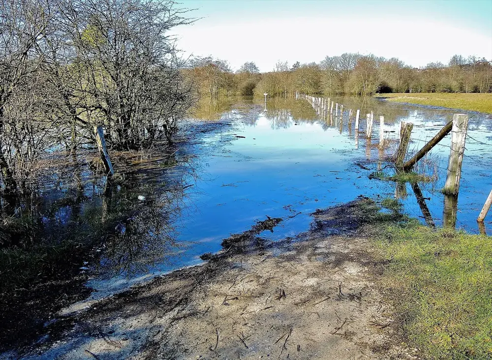 Saône. L'ancienne voie Romaine inondée